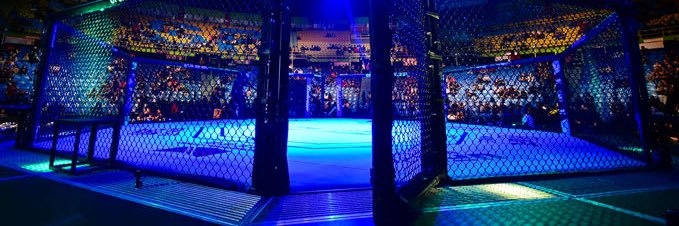 Raquel Pennington banner