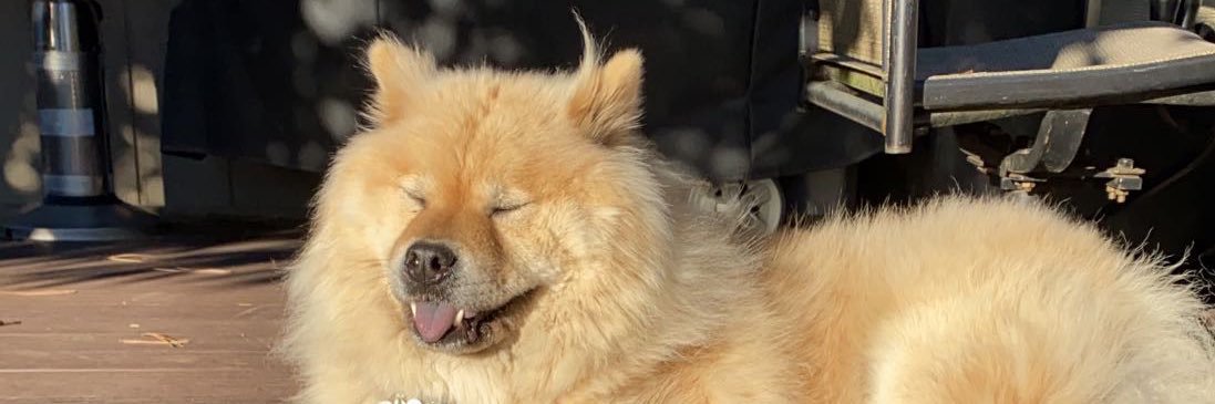 wolfmansgotnrds's profile banner image