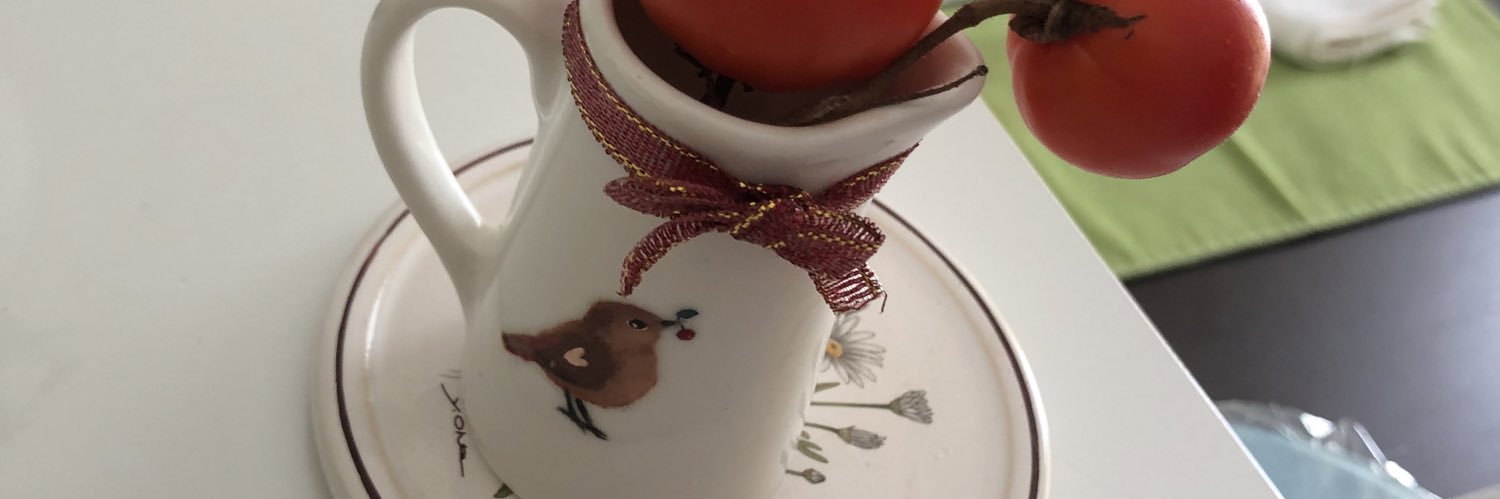 ｼｭﾚﾃﾞｨﾝｶﾞｰのﾄｶｹﾞ banner