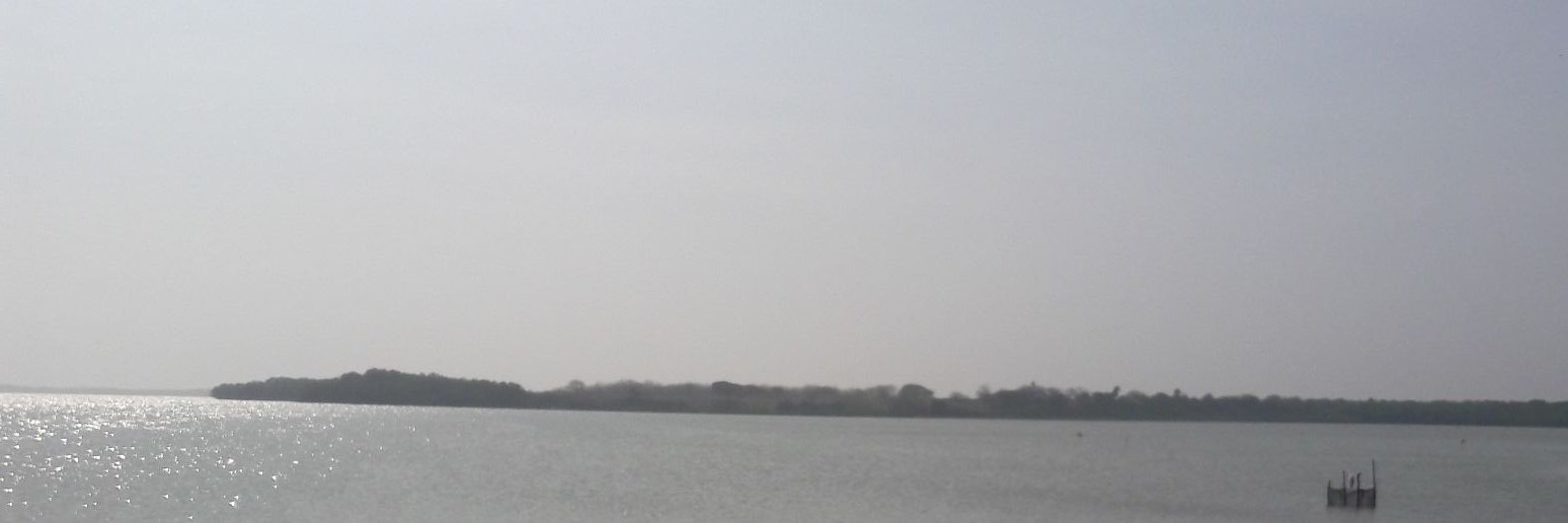 José Beltran Blanco banner