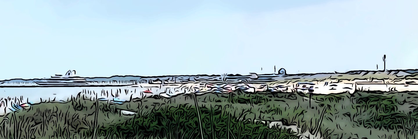 Tom Arnold banner