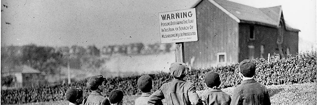 MushroomGuerrilla banner
