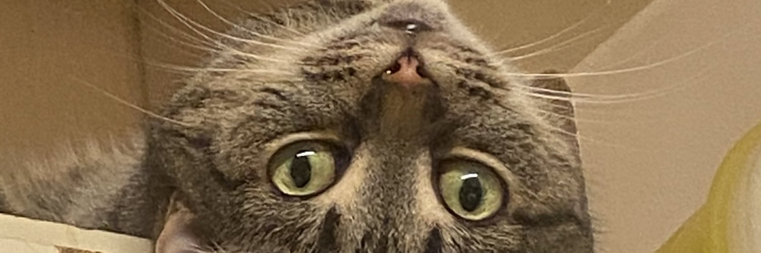 killerkye09's profile banner image