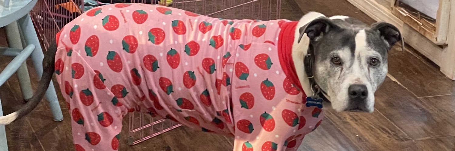 Jave Hootenboom JHJHJH banner