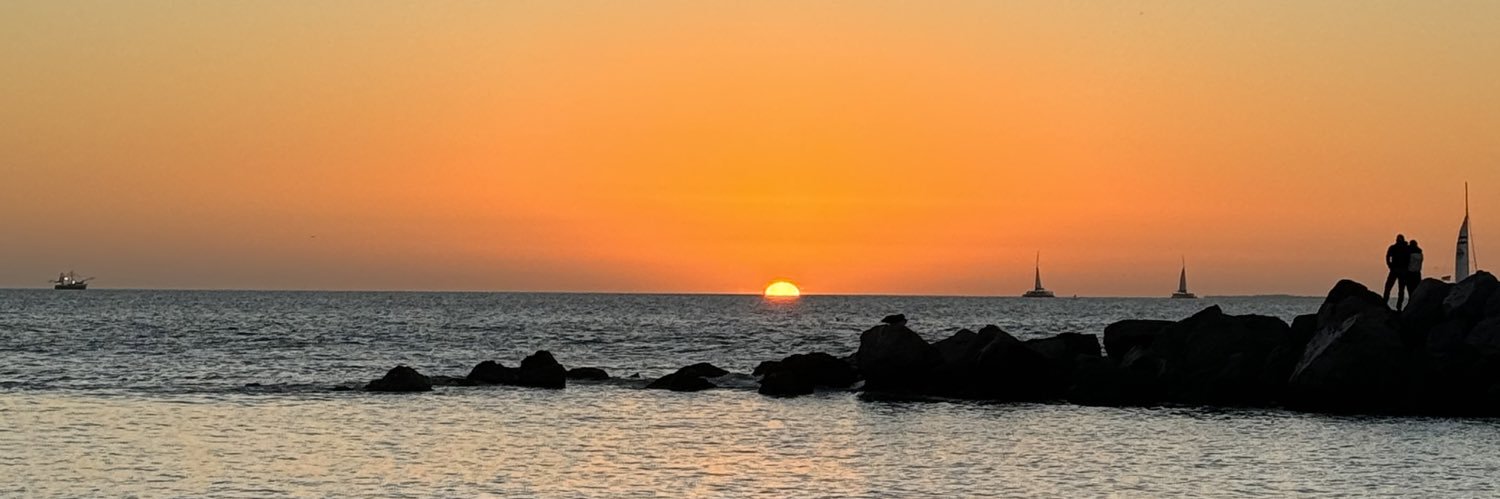 tomisandrin's profile banner image