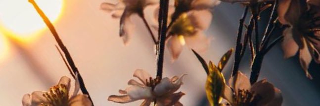 Violeta Muñìz banner