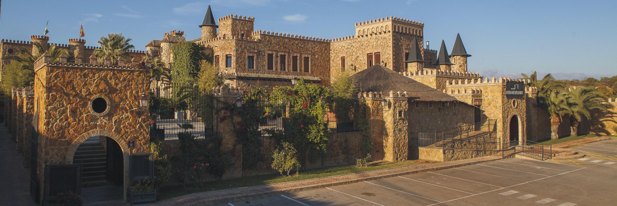 Medievalum Copas banner