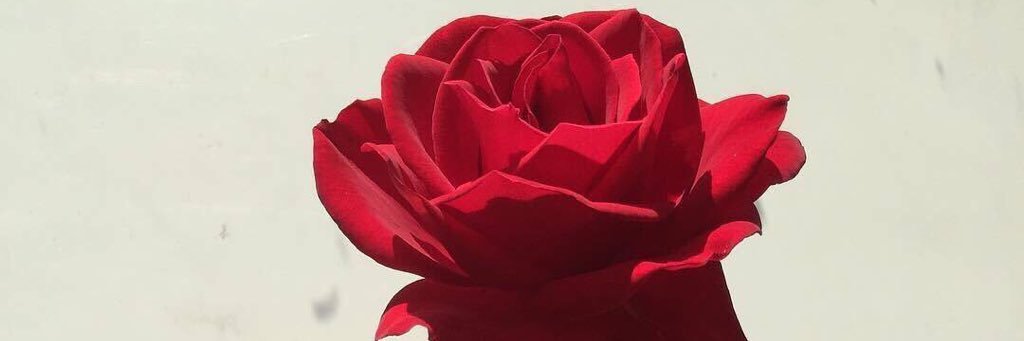 neeliaraj's profile banner image