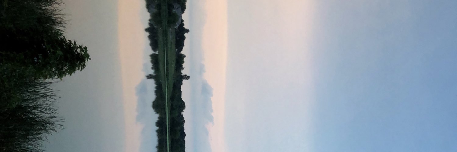 morganxiety's profile banner image