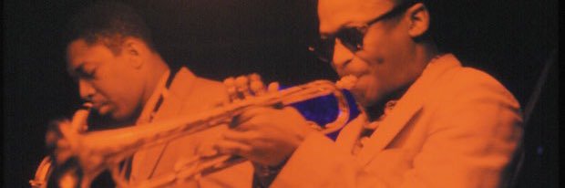 suizloares's profile banner image