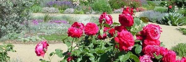 Annie Gegan banner