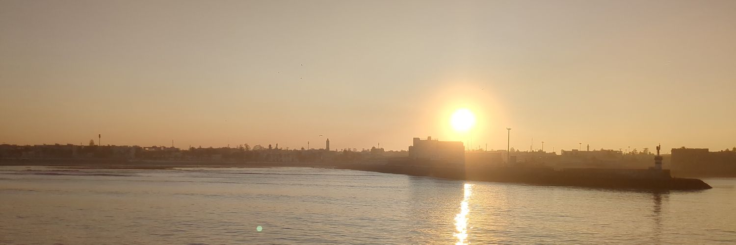 Steffen banner