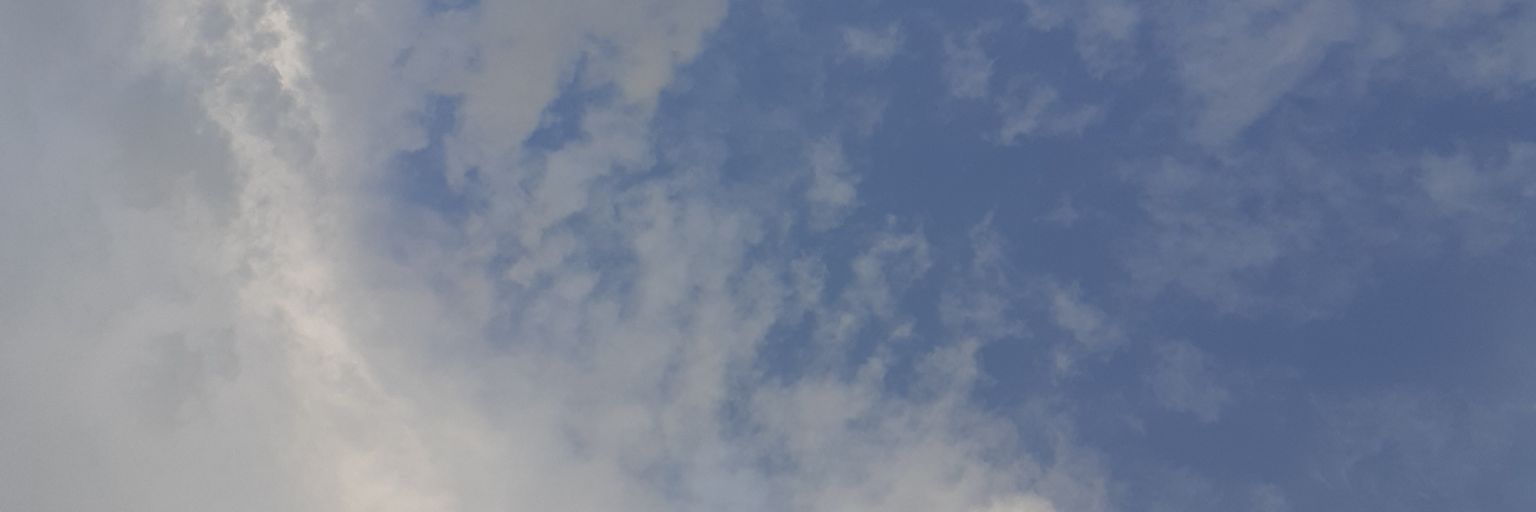 Eser Aktay banner