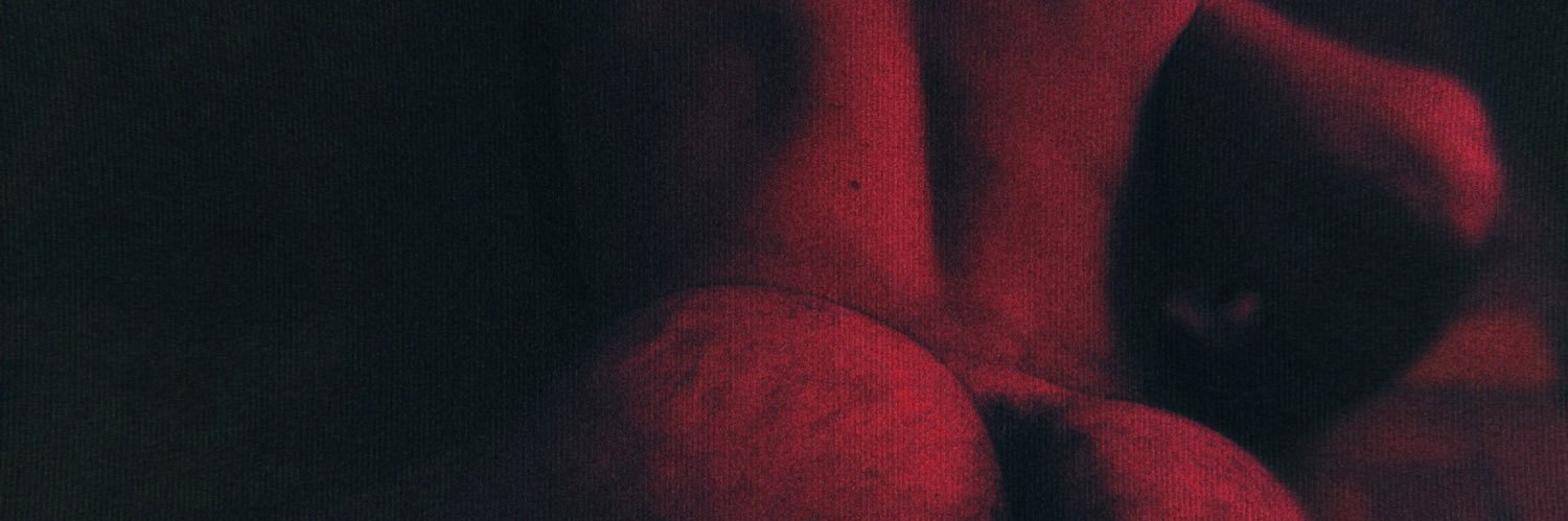 áries banner