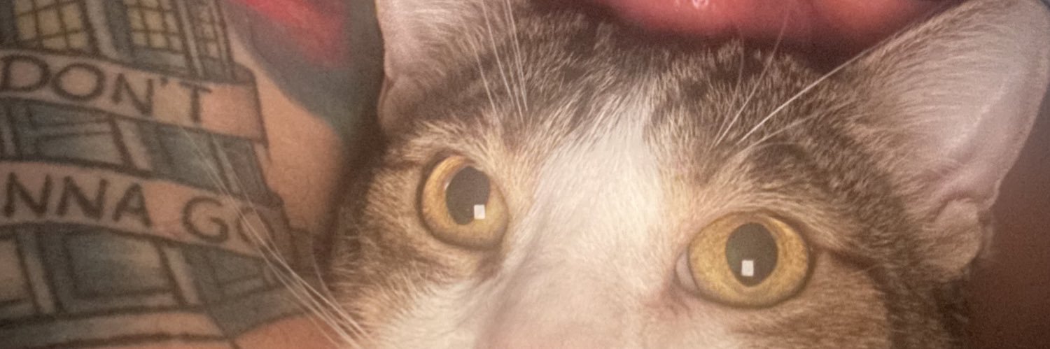 bispowill's profile banner image