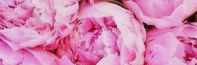eemmiillyy_7's profile banner image