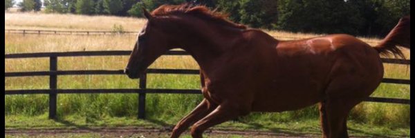 JSWRacing Profile Banner