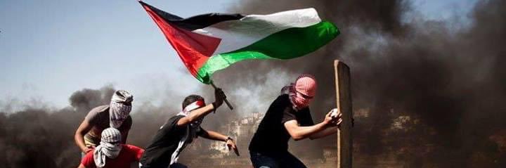 Mimada? uma mulher banner