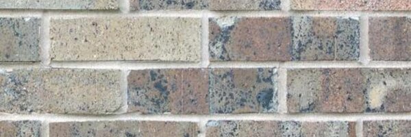 Chris_Liebig Profile Banner