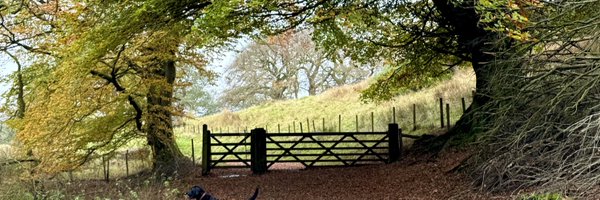 DrPeterWeeks1 Profile Banner