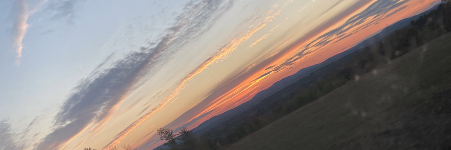 erika_calvert's profile banner image