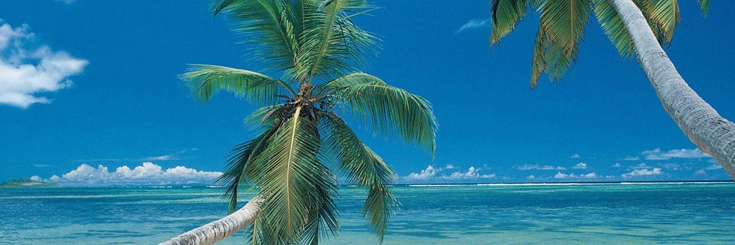 AUMDG's profile banner image