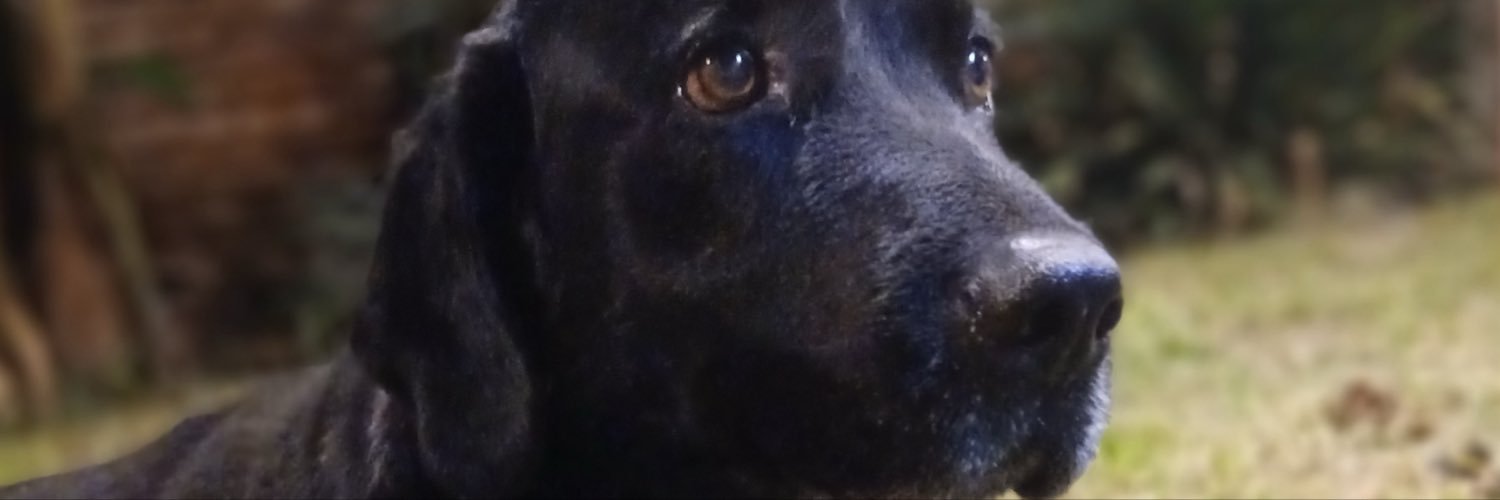 Flozorzi1's profile banner image