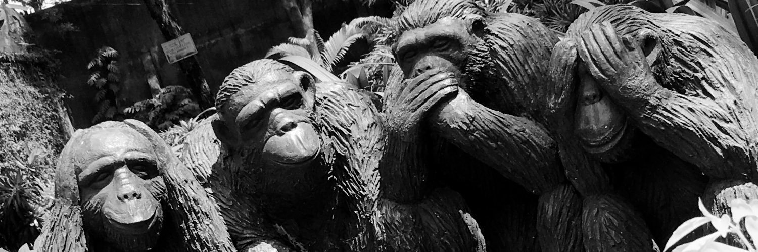 HumanoidNingen3's profile banner image