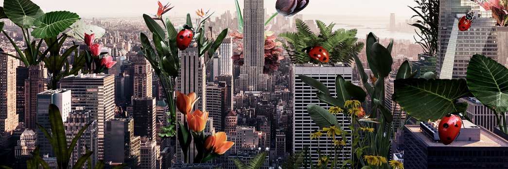 DesignPlayMag's profile banner image