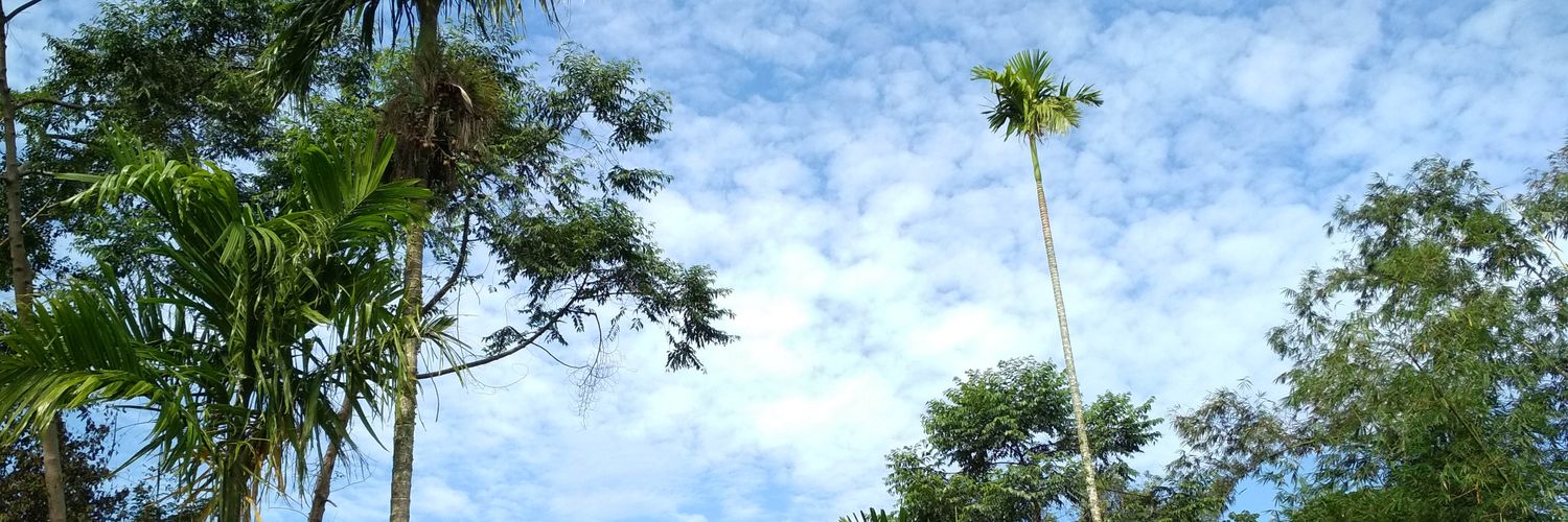 wiwidiw's profile banner image