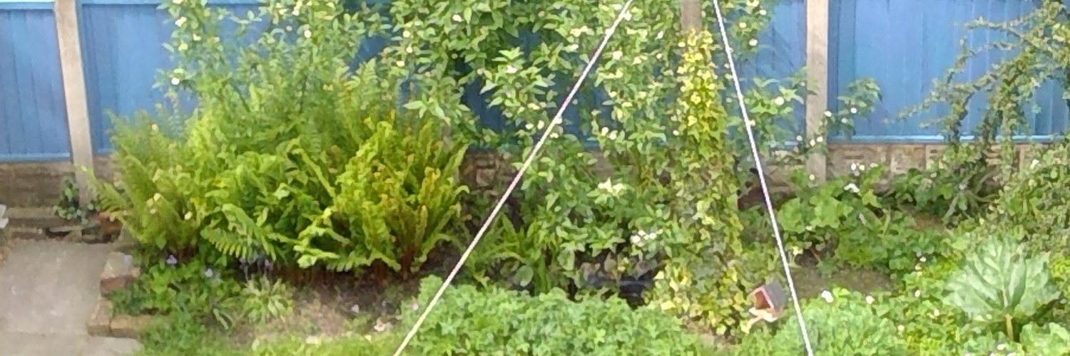 Rose Napper banner
