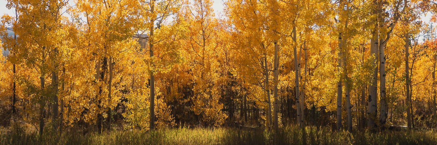 Colorado State Forest Service banner