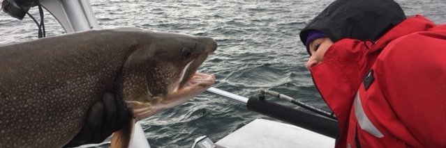 Christine Boston banner