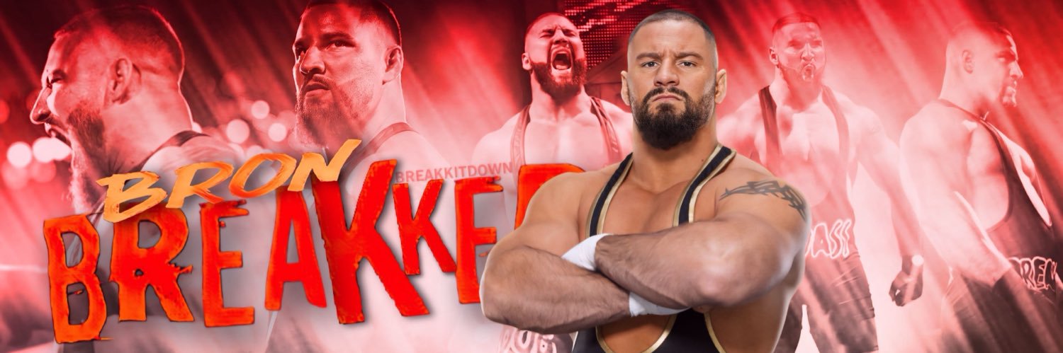 Man’s worst friend. 〢 NOT @bronbreakkerwwe banner