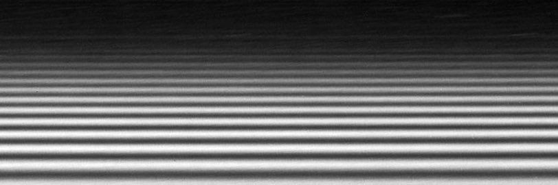 SwampSound's profile banner image