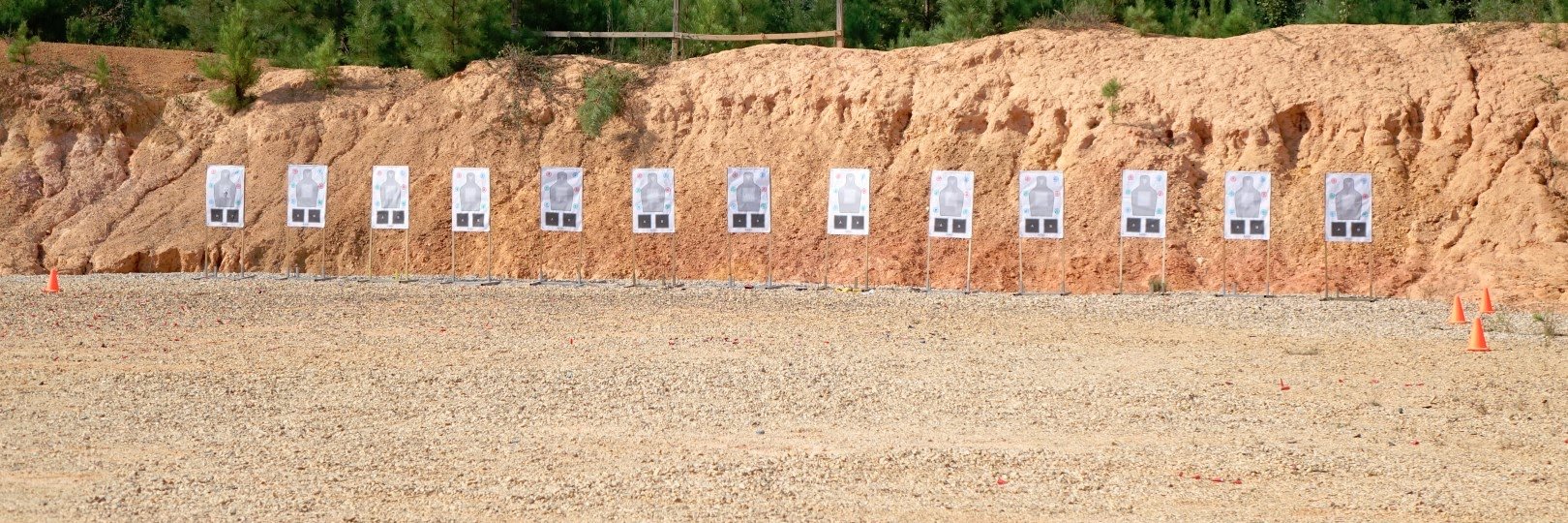 bearcotraining's profile banner image