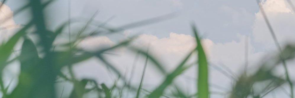 httpeev's profile banner image