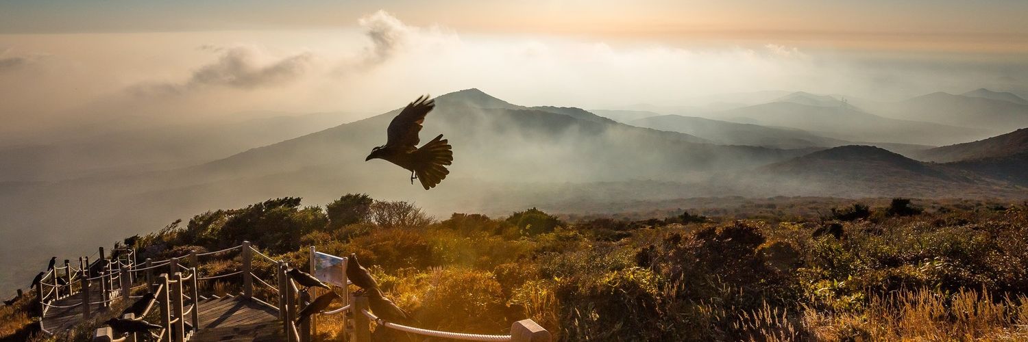 Douglas MacDonald banner