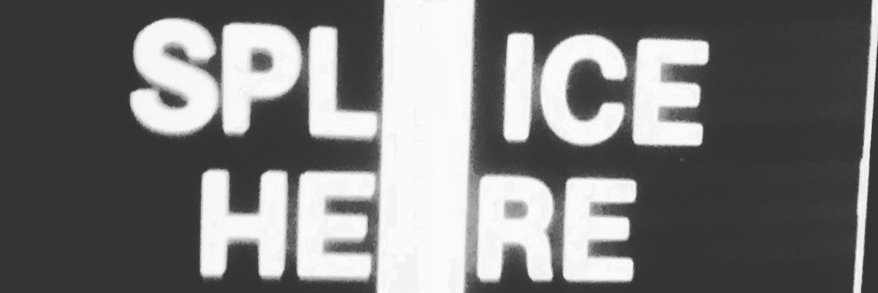 Terilyn A. Shropshire banner