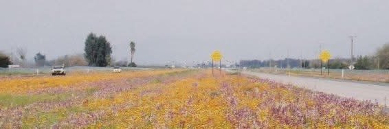 8_bit_numbers's profile banner image