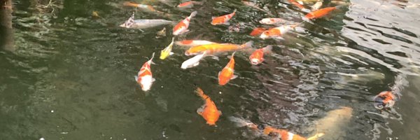 bloopr_ Profile Banner