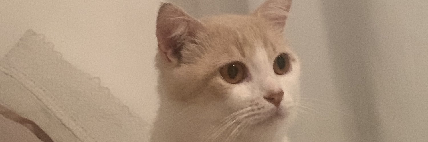 analygiakl's profile banner image