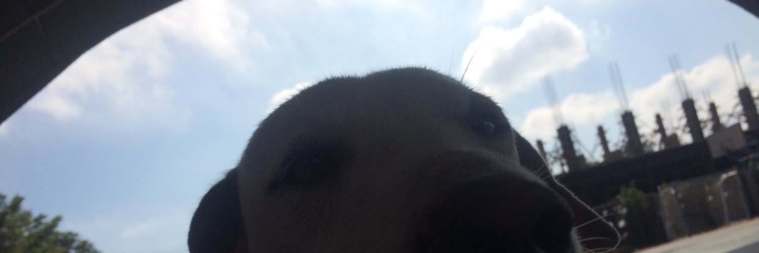 nanni_w's profile banner image