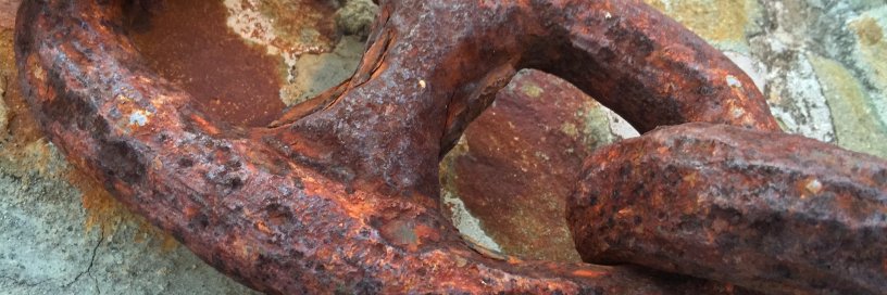 GaneySusan's profile banner image