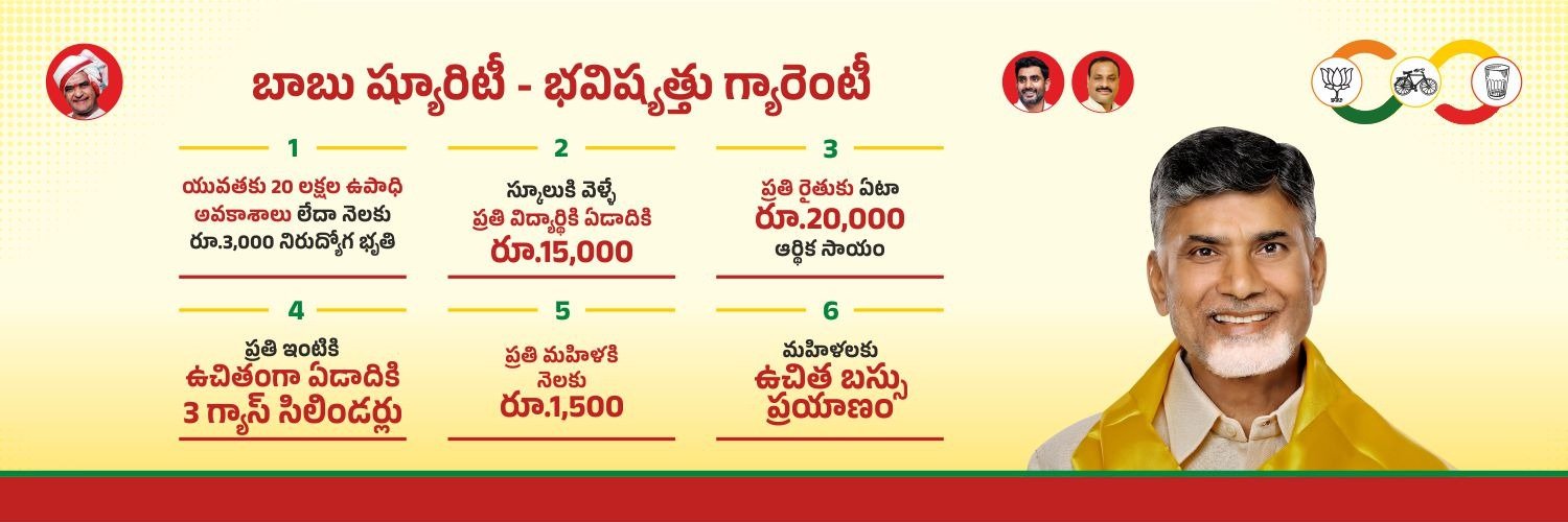 N Chandrababu Naidu's banner