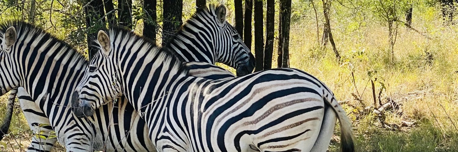 thabang_teffo's profile banner image