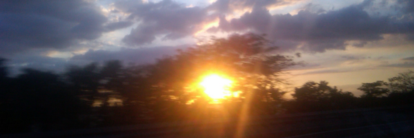 Splendid_Indy Profile Banner