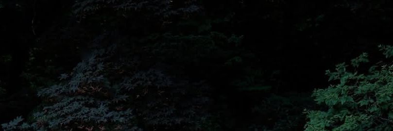 Agus_S_mOuntaIn's profile banner image