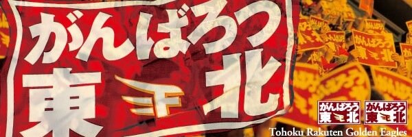 inatirom's profile banner image