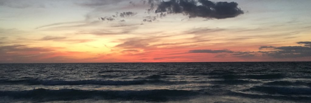 anna_blumenthal's profile banner image